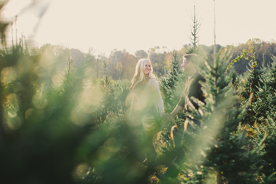 TLV tree farm fall engagement_001