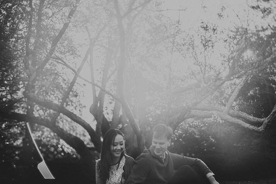 dumbarton gardens georgetown engagement_002