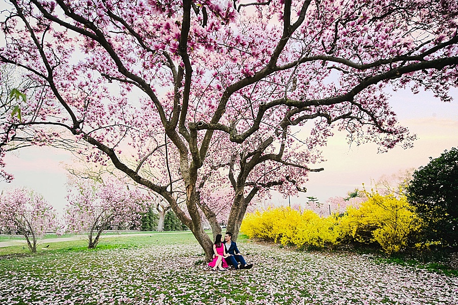Washington DC Cherry blossom engagement pictures_0001
